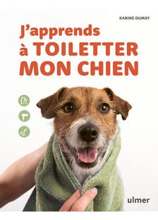 J'apprends À Toiletter Mon Chien