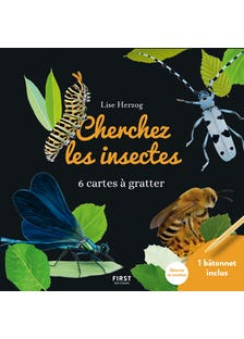 Cartes À Gratter - Cherchez les Insectes