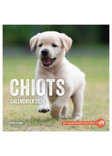 Calendrier Mural Chiots 2024