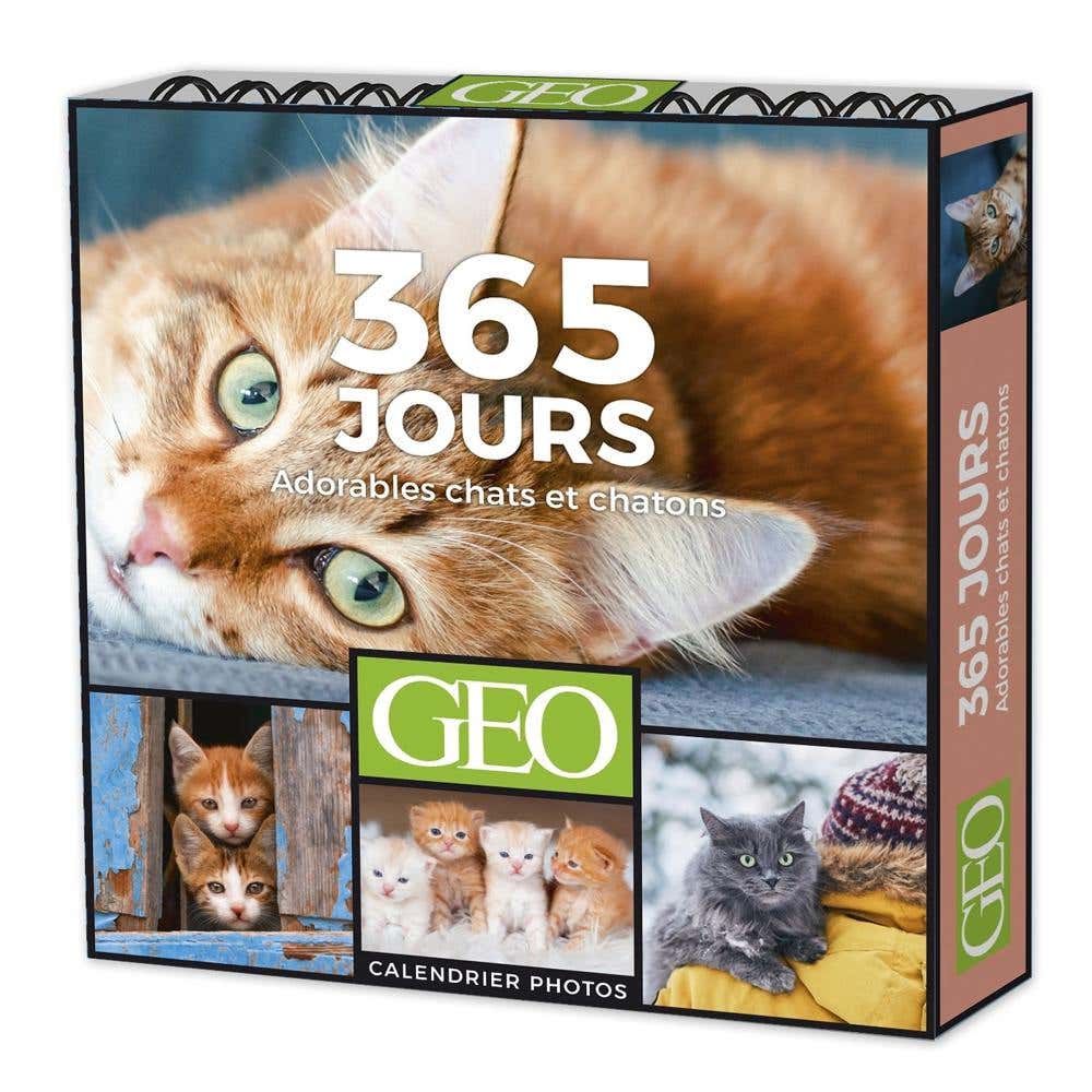365 Jours Adorables Chats ET Chatons - Calendriers Géo