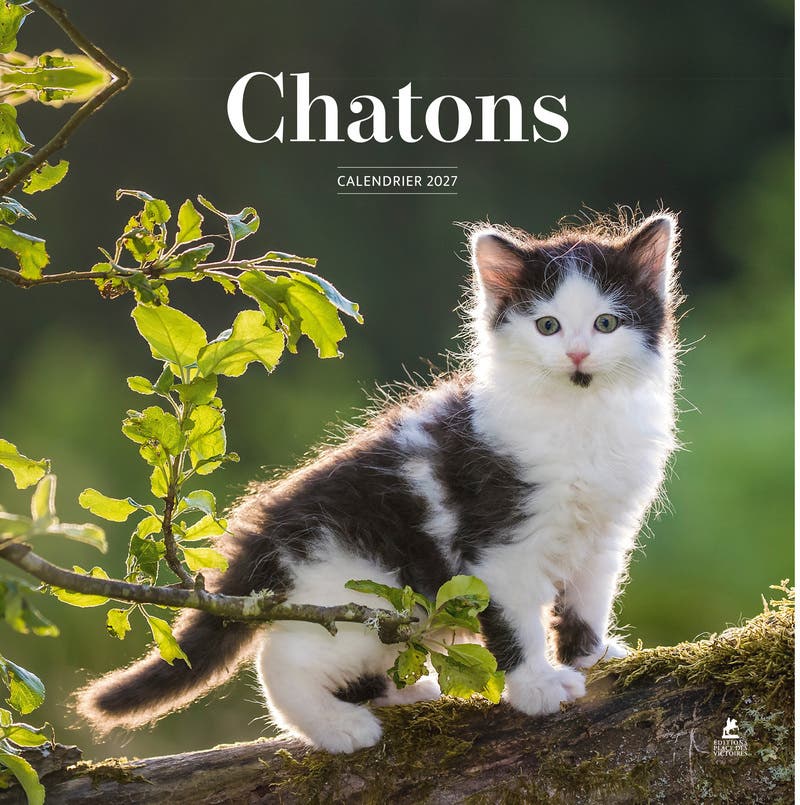 Calendrier 2027 Chatons