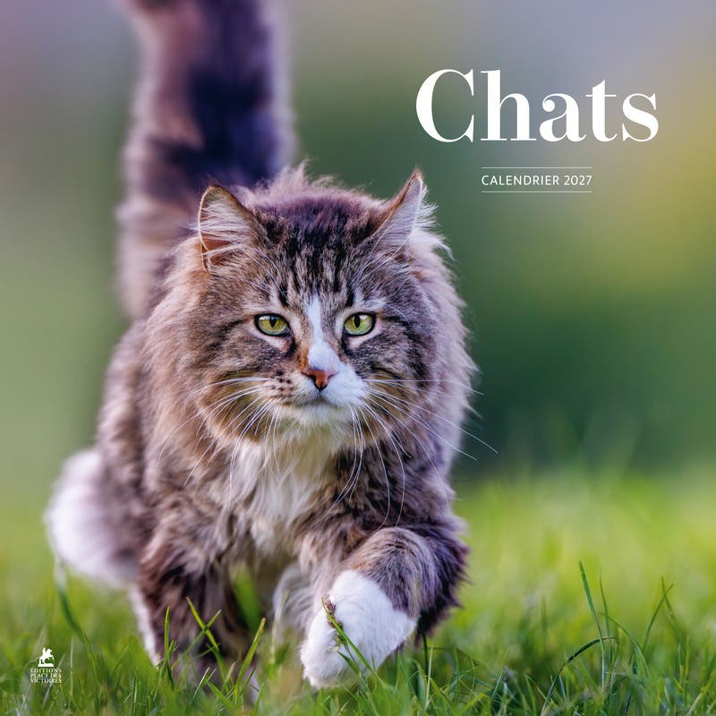 Calendrier 2027 Chats