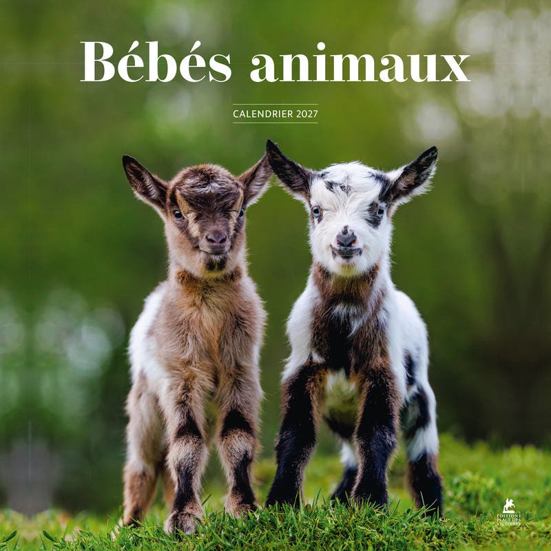 Calendrier 2027 Bébés Animaux