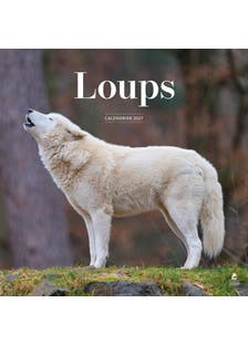 Calendrier 2027 Loups
