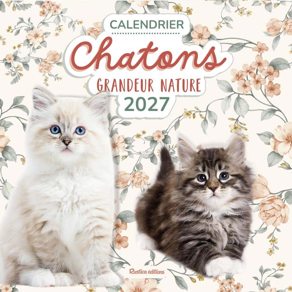 Calendrier Chatons Grandeur Nature 2027