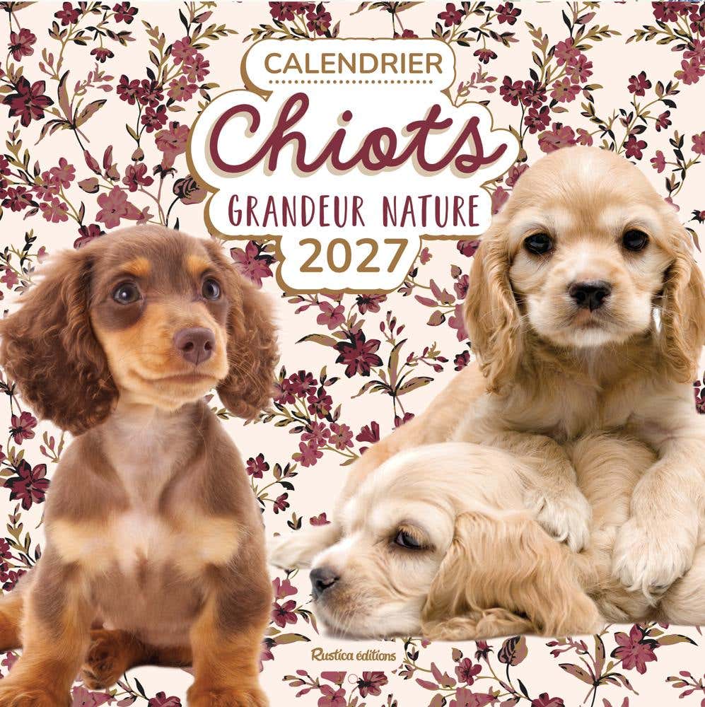 Calendrier Chiots Grandeur Nature 2027