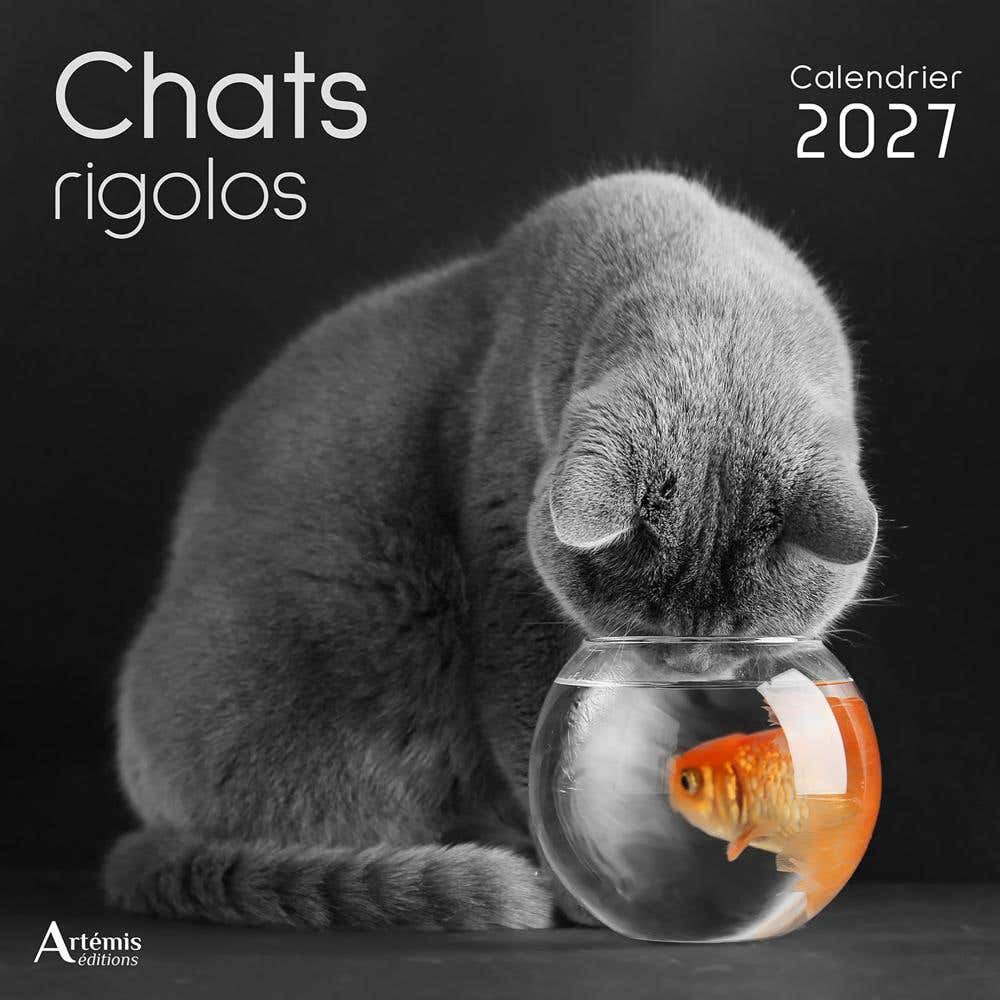 Calendrier Chats Rigolos 2027