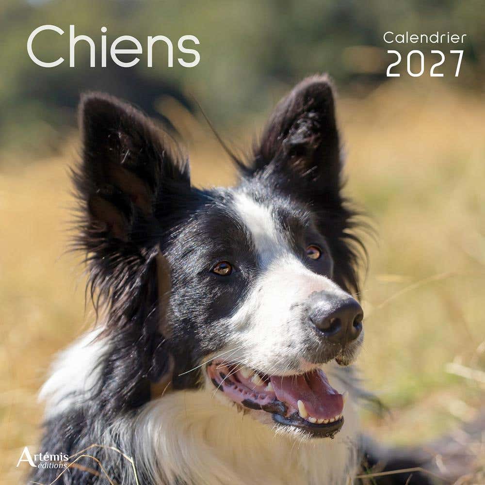 Calendrier Chiens 2027