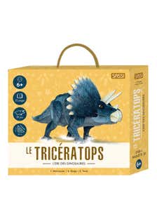 3d Dinosaures. Le Tricératops