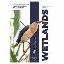 Wetlands