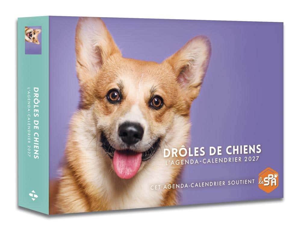 Drôles de Chiens - Agenda - Calendrier - Semainier 2027