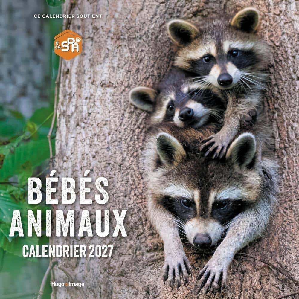 Calendrier Mural Bébés Animaux 2027