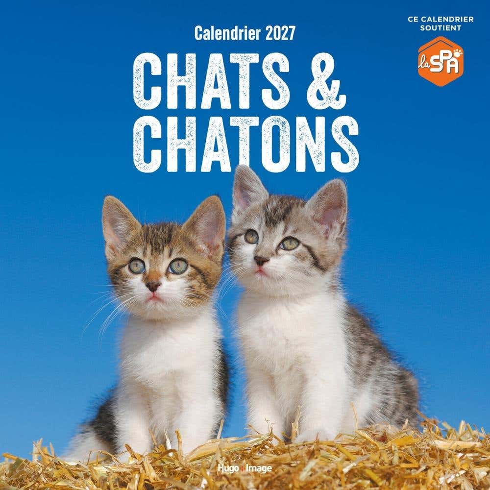 Calendrier Mural Chats et Chatons 2027