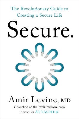 Secure (the Revolutionary Guide To Creating A Secure Life)