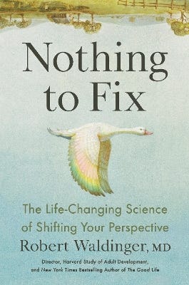 Nothing To Fix (the Life-changing Science Of Shifting Your Perspective)