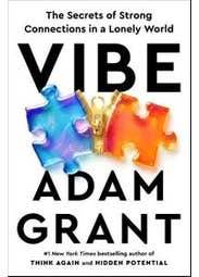 Vibe (the Secrets Of Strong Connections In A Lonely World)